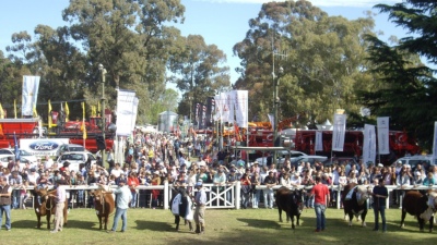 Esta semana tendrá lugar la Exposición Rural de Coronel Suárez