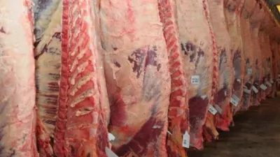 Ruralistas celebraron decisión que dispone liberar la exportación de carne