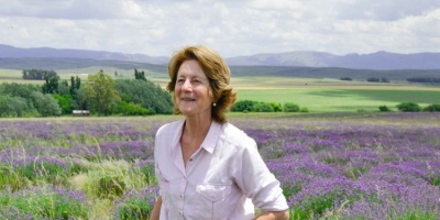 La reina de la lavanda: En Sierra de la Ventana, Léony Staudt la produce de modo orgánico