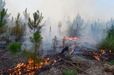 Incendios sin control: el fuego devora los Esteros del Iberá y en 48 horas todo puede ser peor