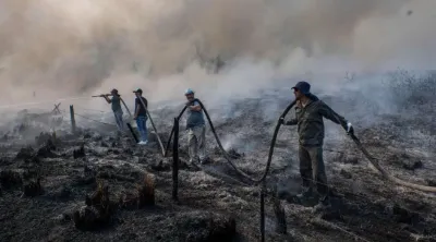 Fuego en Corrientes: a pesar de que llegaron las lluvias aún hay 8 incendios activos