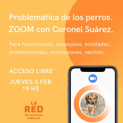 Invitan a un zoom provincial por la problemática de los perros