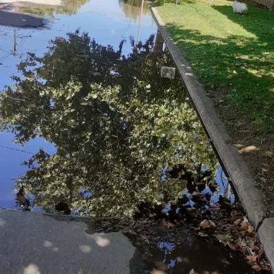 Queja por agua estancada en el Barrio Aramburu