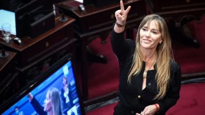 La burrada de Juliana di Tullio y el particular descargo que publicó en las redes