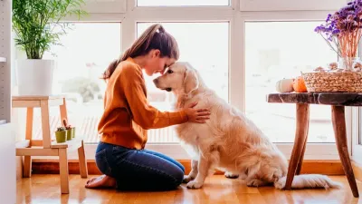 Guía para acariciar a los perros y los gatos sin incomodarlos