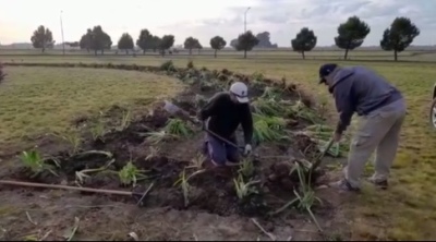 Veteranos de Malvinas: "Seguimos adelante y haciendo crecer el parque de la ciudad"