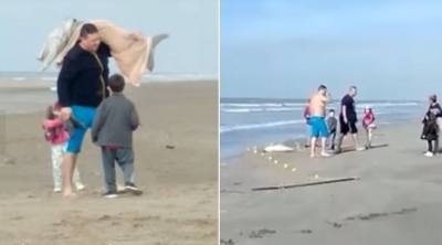 Un hombre se llevó un delfín de la playa en Mar del Tuyú