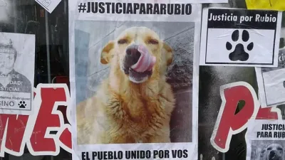 Fallo histórico: lo condenaron a un año y medio de prisión por arrastrar a un perro con su camioneta hasta matarlo