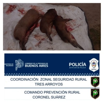 Operativos de la Patrulla Rural por caza furtiva