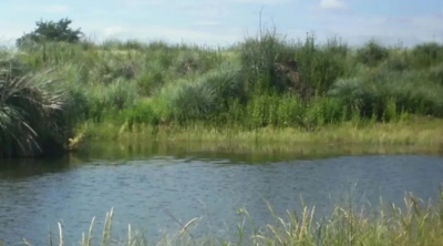 El cadáver de un jubilado apareció en un tanque de agua y la familia sospecha que lo mató su hijo