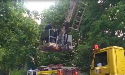 Ladrón con vértigo: “Gritaba para que lo ayuden a bajar”, dijo uno de los jefes de Bomberos