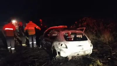 Se les cruzó un carpincho, lo chocaron y el auto se prendió fuego