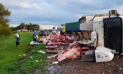 Salta: un camión frigorífico volcó y los vecinos se robaron 11 mil kilos de carne