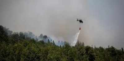 Feroz incendio en El Bolsón: evacuaron a vecinos y turistas, aseguran que fue intencional y hay un detenido