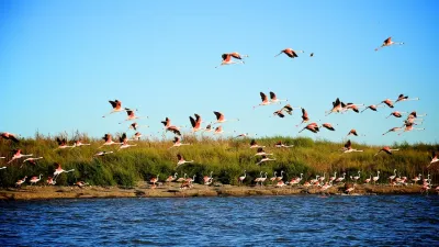 La Sistina: la misteriosa isla de Guaminí que fue hogar de una condesa austríaca y hoy es un santuario de naturaleza