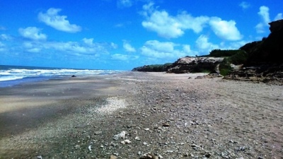 Horror en Miramar: caminaba por la playa y encontró un cadáver mutilado