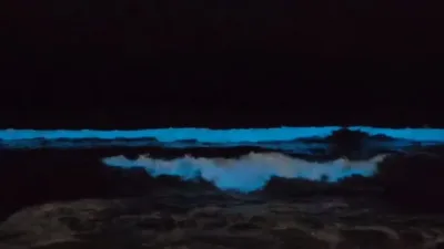 Olas luminosas, el extraño fenómeno que sorprendió a todos en Mar del Plata