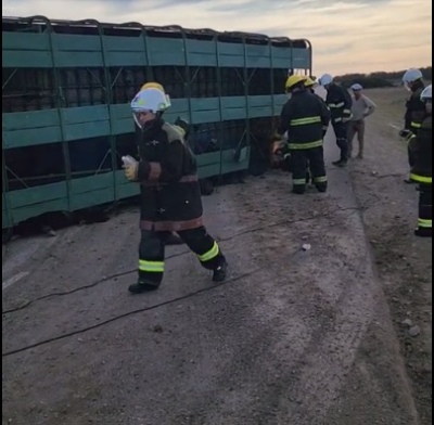 Un camión de hacienda de Huanguelén volcó cerca de Pringles