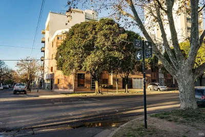 Un plato volador violeta posado sobre un naranjo: a 76 años del primer ovni argentino y cómo la prensa satirizó el fenómeno