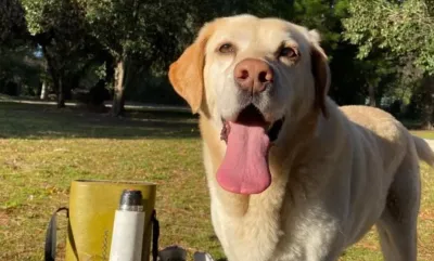 Una familia de Ventana busca a “Rafa”