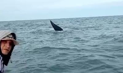 Ballenas: el emotivo “saludo” con un grupo de pescadores de Monte Hermoso