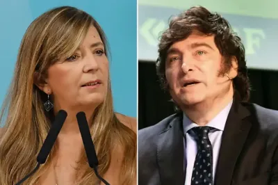 El Gobierno apuntó contra Javier Milei por la difusión de las imágenes de saqueos: “Quieren desestabilizar”