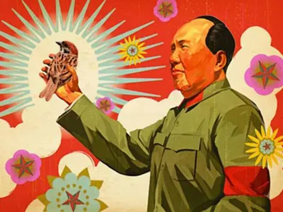 La cruel masacre de gorriones que ordenó Mao y provocó la muerte por hambre de 36 millones de chinos