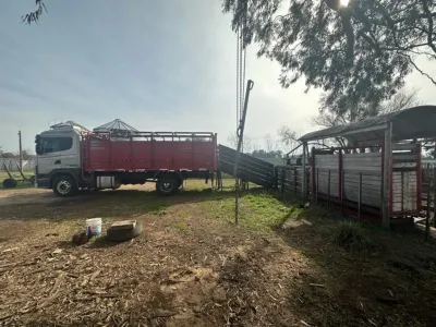 Es médico, invirtió en ganadería, le robaron 60 vacas y recuperó solo 10 tras vivir una odisea