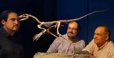 Reptiles voladores: el hallazgo que reveló uno de los grandes enigmas de la paleontología