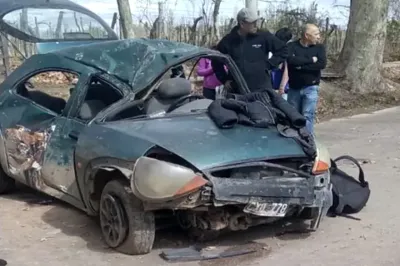 Tragedia en Mendoza: una nena de 5 años murió luego de que su madre chocara contra un árbol