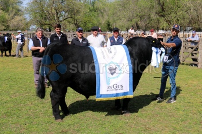 Se conocieron a los grandes campeones de la Exposición Rural suarense