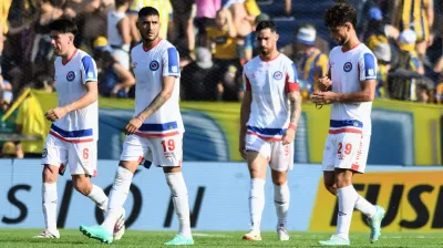 Nunca visto: un reptil sorprendió al banco de Argentinos Juniors en la cancha de Rosario Central