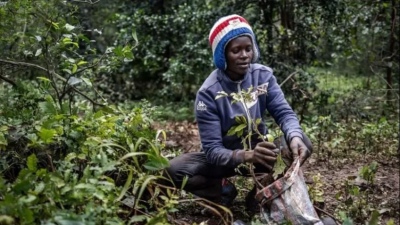 El país que declaró un feriado nacional para plantar 100 millones de árboles