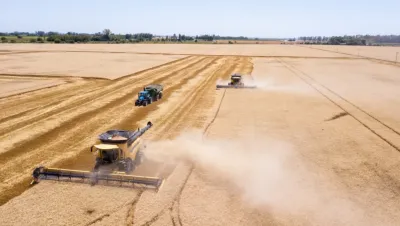 Siete de cada 10 dólares: la ecuación que el campo le muestra al nuevo gobierno