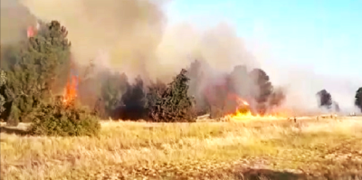 Controlan enorme incendio cerca del Dique Paso de las Piedras