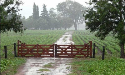 Dispares registros de lluvias en la zona