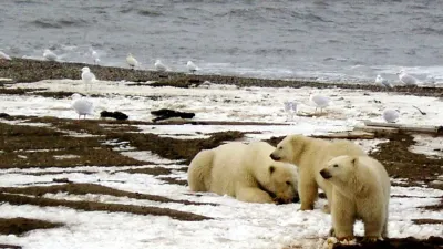 El verano en el hemisferio norte de este año fue el más caluroso jamás registrado en el Ártico