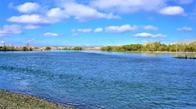 Los mensajes de despedida a la maestra que se tiró a un canal de riego para rescatar a su hijo y murió ahogada