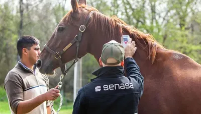 Segundo caso de encefalomielitis equina en nuestra zona