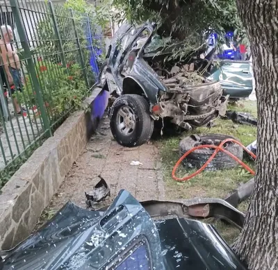 Robaron una camioneta y cuando escapaban a toda velocidad chocaron contra un árbol: tres delincuentes murieron