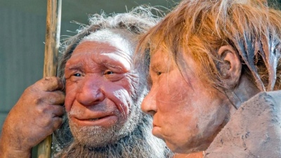 Los Neandertales cuidaban su salud: qué prácticas aún persisten