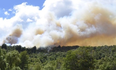 En el Parque Nacional Los Alerces el fuego arrasó más de tres mil hectáreas