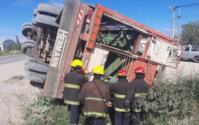 Rescatan a terneros de un camión jaula que volcó en Tres Arroyos