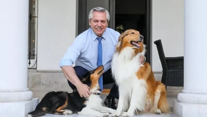 Alberto Fernández y sus perros Dylan y Prócer