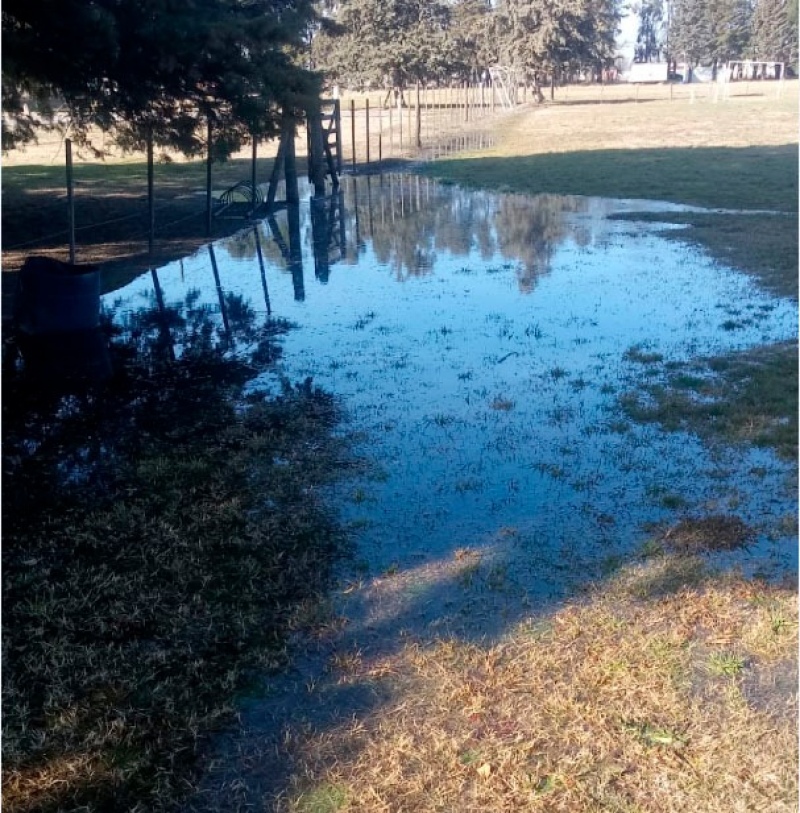 Destrozos y robo inexplicable en el predio de Boca Juniors