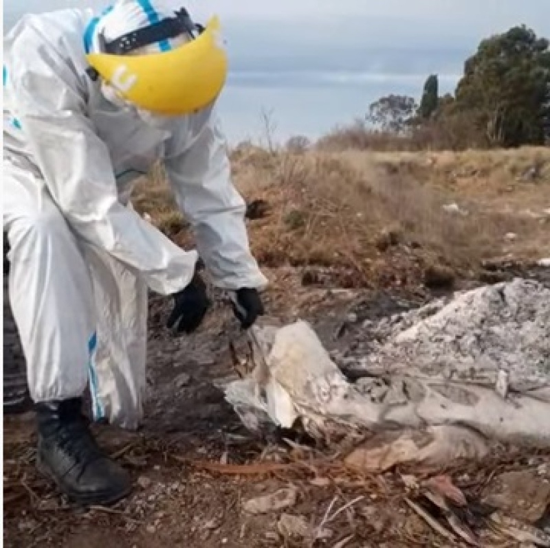 La policía ecológica infraccionó a la firma Tomas Hermanos por quemar bidones de agroquímicos