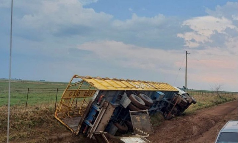 Por la tormenta volcó un camión de hacienda en Pringles y murieron 14 animales