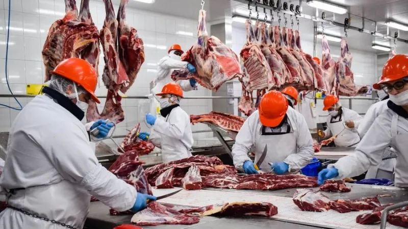 Pese a las restricciones a la exportación, el consumo de carne cayó en agosto