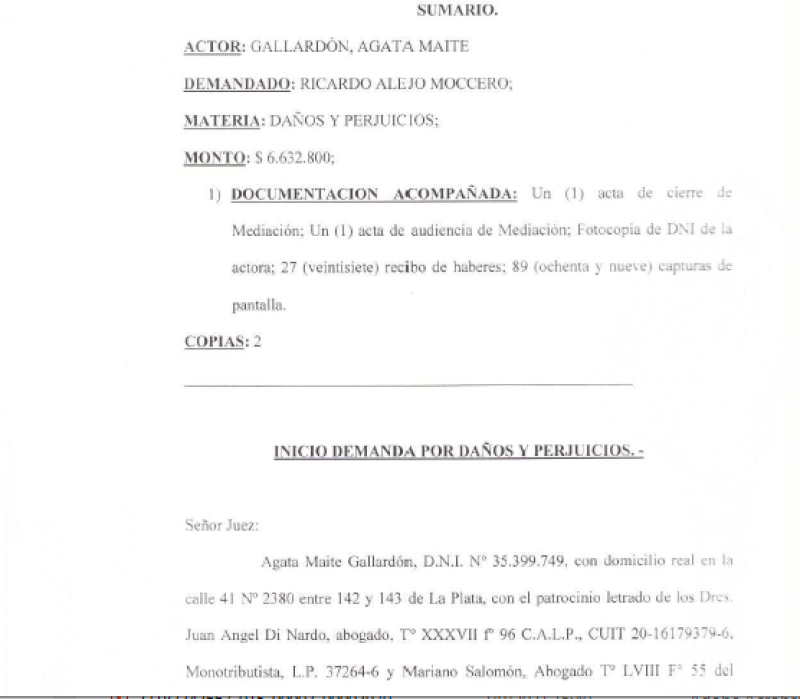 Esta es la carátula de la causa iniciada a raíz de la denuncia contra Ricardo Moccero