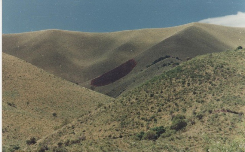 La famosa Huella del Pajarillo.